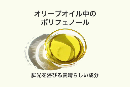 オリーブオイルの注目成分