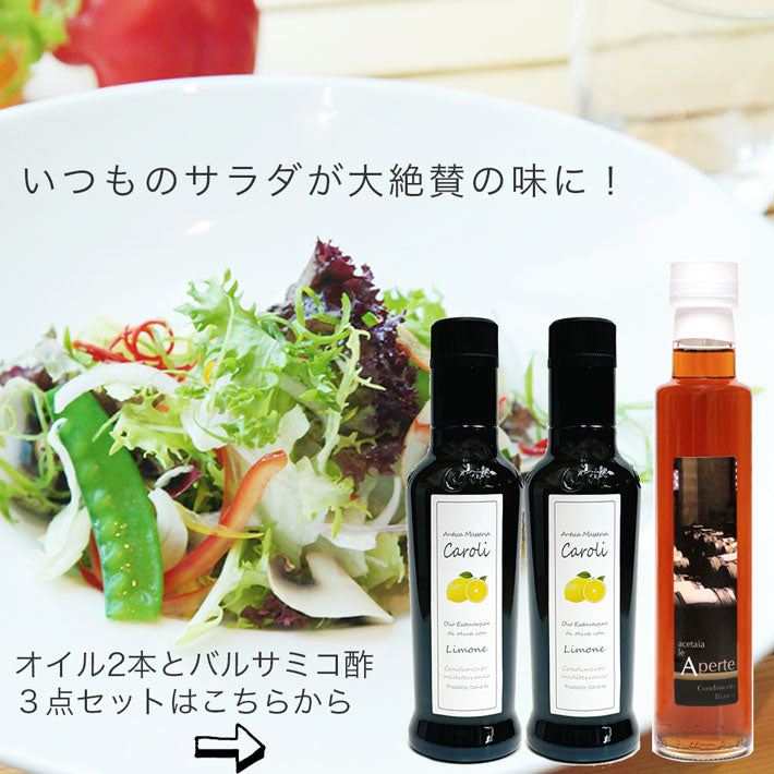 デリシャス サラダドレッシングセット PRO