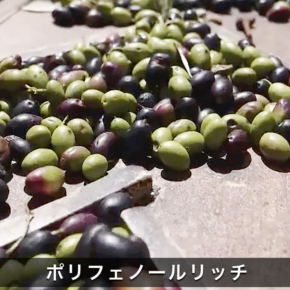 【 予約受付中 】 カロリ エキストラバージン オリーブオイル ノヴェッロ 500ml