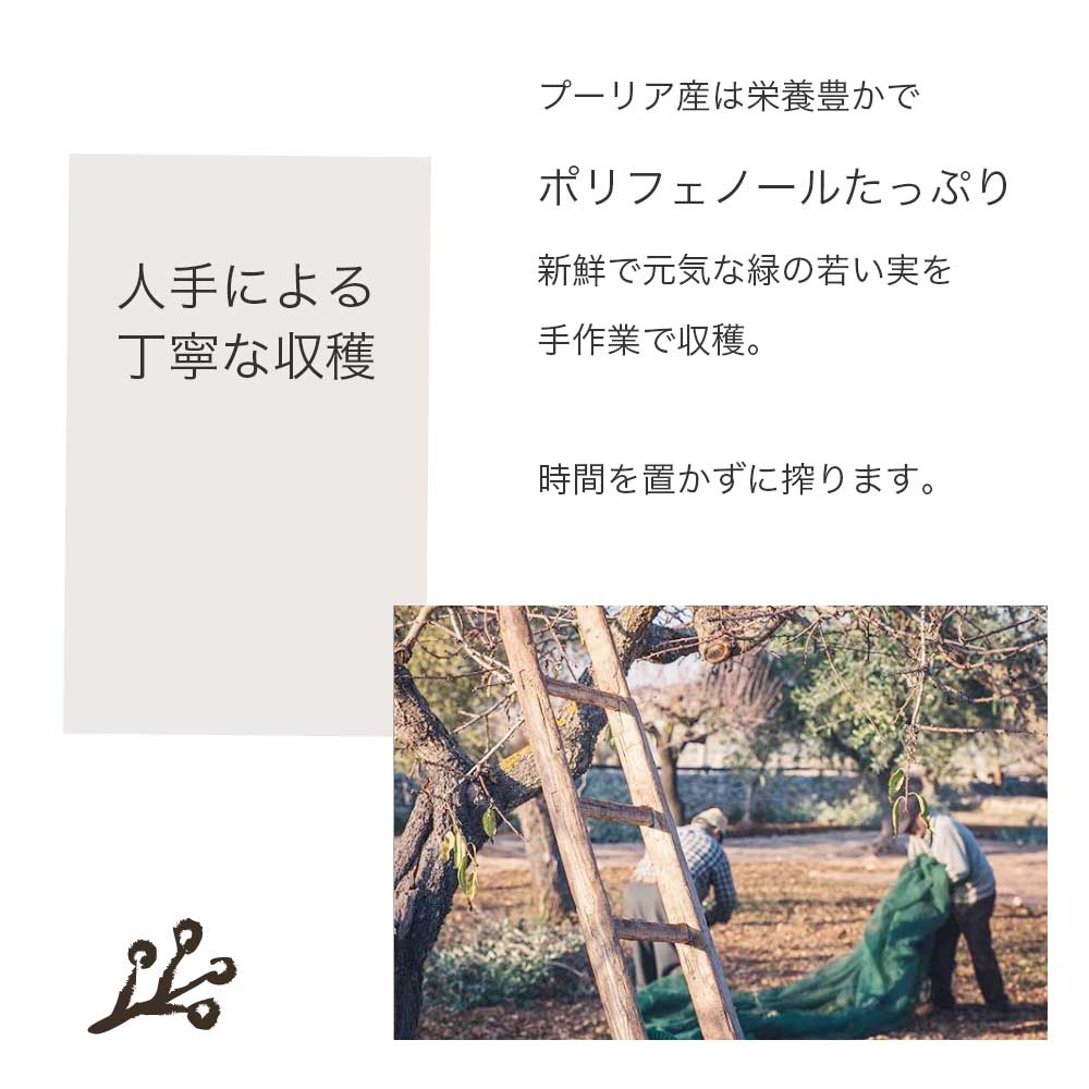 フリシーノ エキストラバージン オリーブオイル ブラック 500ml
