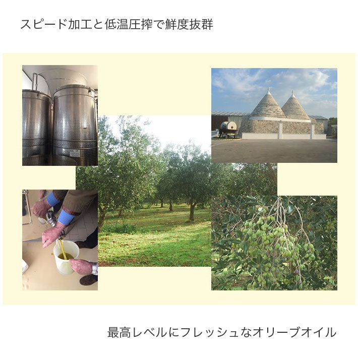 カロリ エキストラバージン オリーブオイル モンティ デル ドゥーカ 500ml