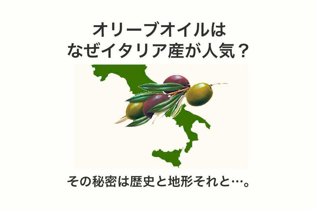 イタリア産オリーブオイルを他と異らせる５つの要素
