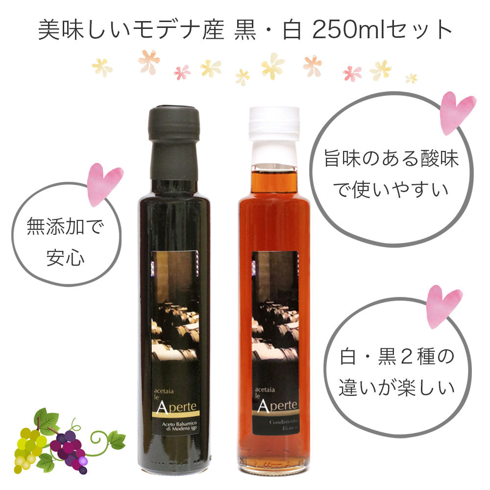 バルサミコ酢 モデナ 250ml 2種セット