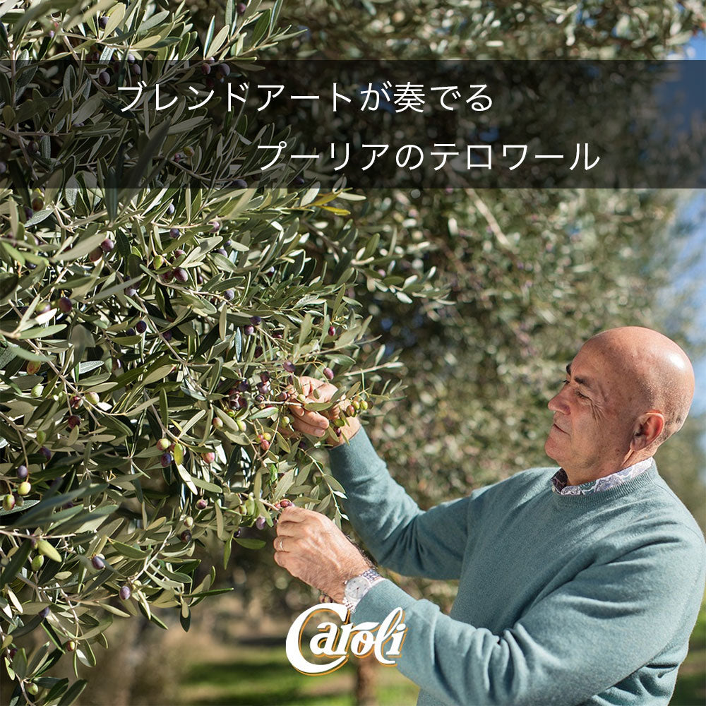 イタリア・プーリア産 エキストラバージンオリーブオイル カロリ マルティーナ・フランカ 250ml x2本 ギフトセット