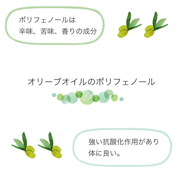 フリシーノ エキストラバージン オリーブオイル ブラック 250ml gift