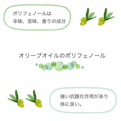 フリシーノ エキストラバージン オリーブオイル ブラック 250ml gift