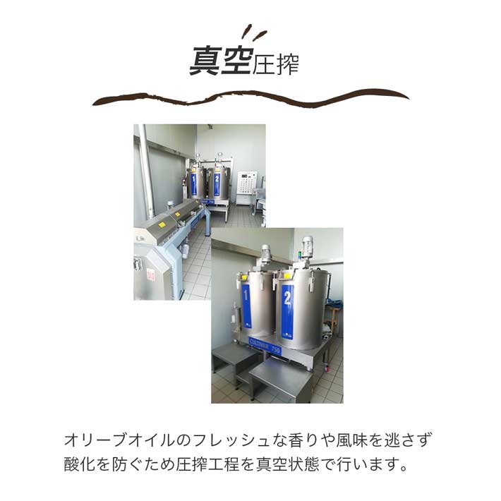 フリシーノ エキストラバージン オリーブオイル ホワイト 250ml gift