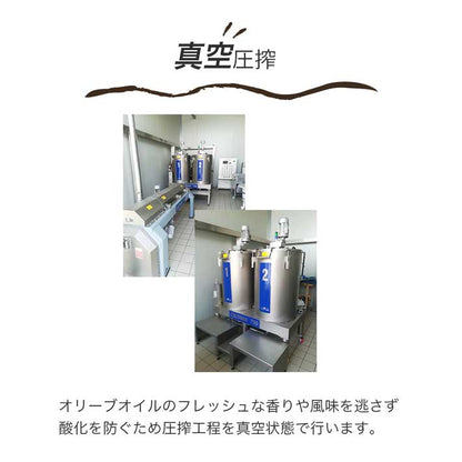フリシーノ エキストラバージン オリーブオイル ホワイト 250ml gift