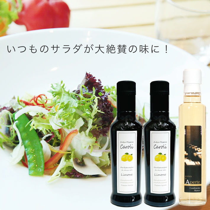 デリシャス サラダドレッシングセット PRO