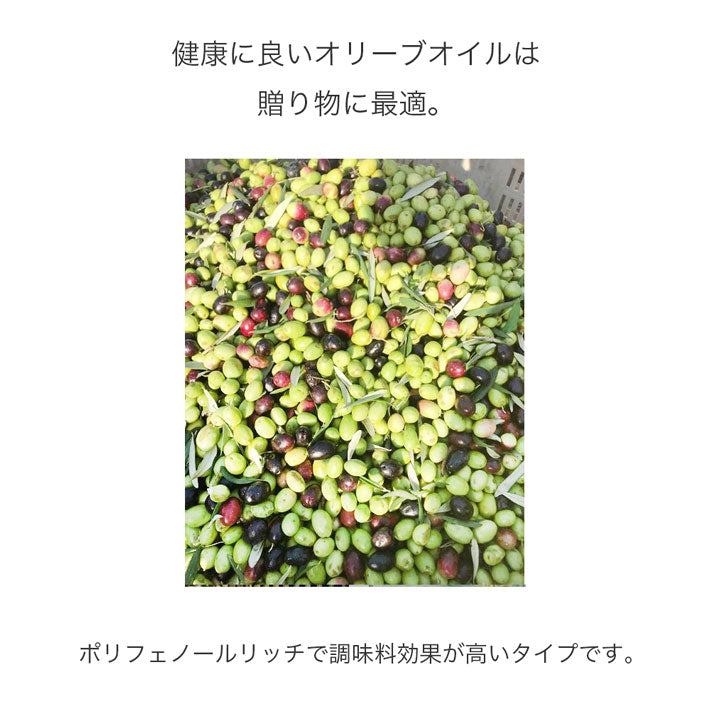フリシーノ エキストラバージン オリーブオイル ブラック 250ml gift