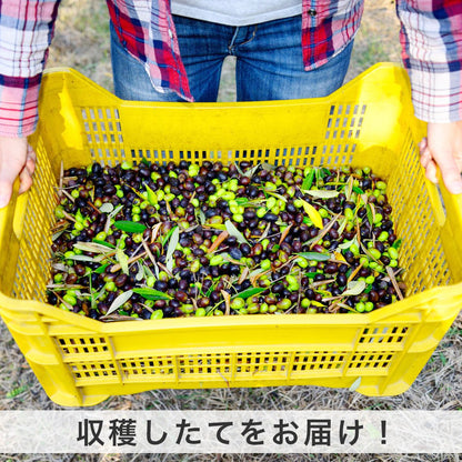 【 予約受付中 】 カロリ エキストラバージン オリーブオイル ノヴェッロ 500ml 3本セット