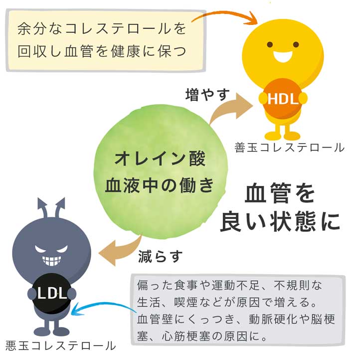 カロリ エキストラバージン オリーブオイル クラシコ 1L
