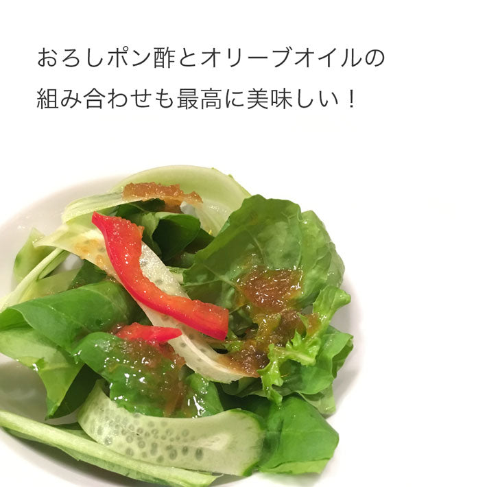 フリシーノ 南イタリア産 単一品種 エキストラバージンオリーブオイル 250ml×2 リミテッドセット