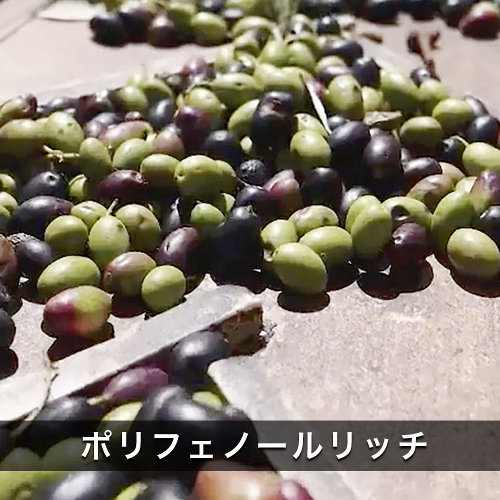 【予約受付中】 カロリ エキストラバージン オリーブオイル ノヴェッロ 1L