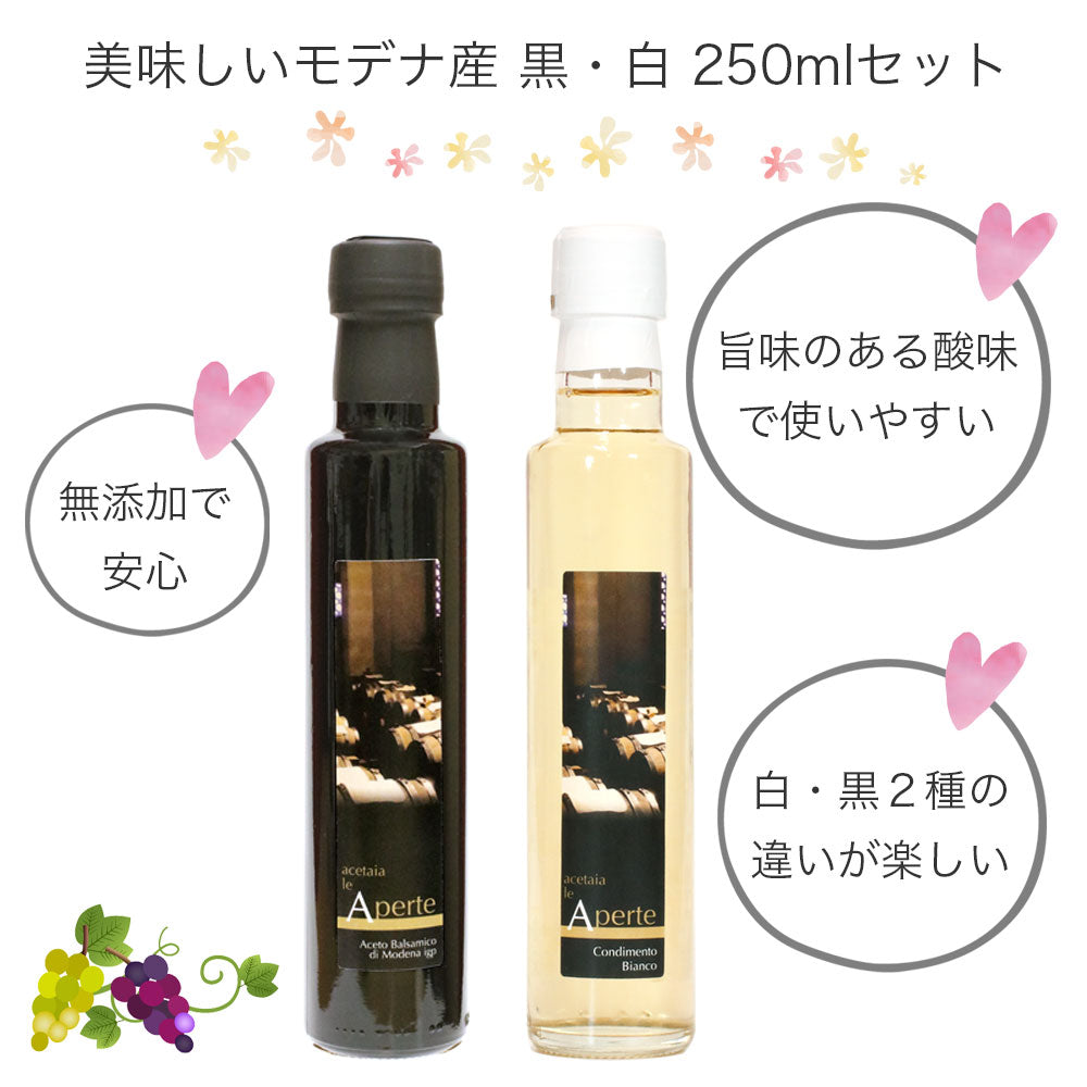バルサミコ酢 モデナ 250ml 2種セット