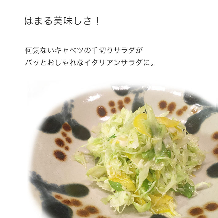 バルサミコ酢 モデナ 250ml 2種 4本セット