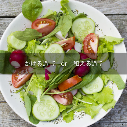 デリシャス サラダドレッシングセット PRO
