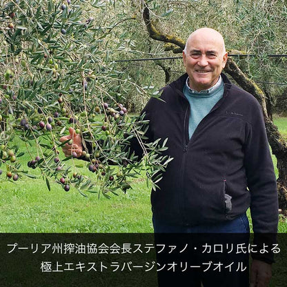 カロリ エキストラバージン オリーブオイル クラシコ 500ml x 6本