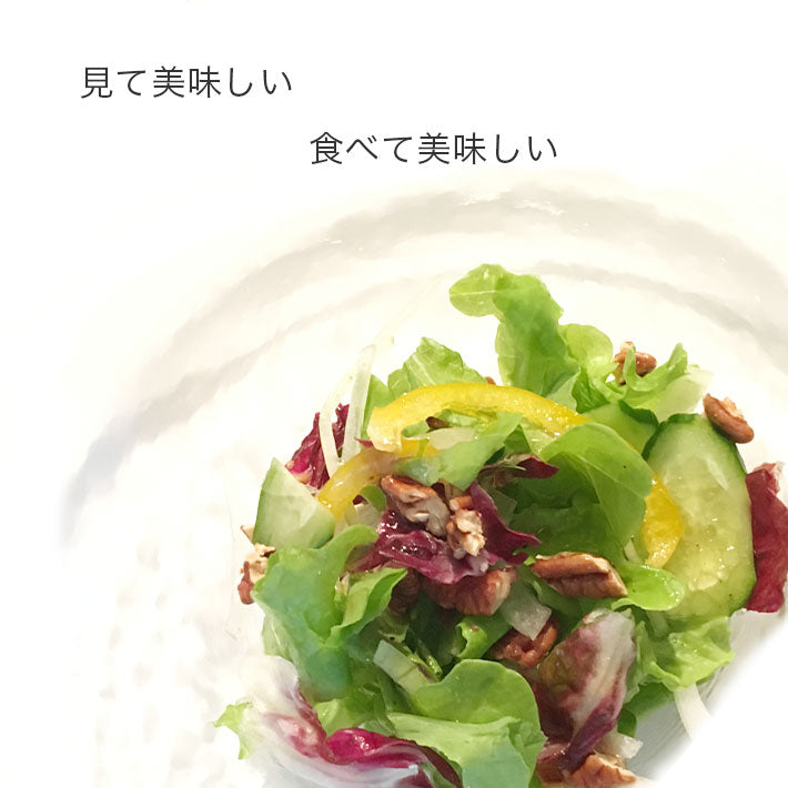 デリシャス サラダドレッシングセット PRO