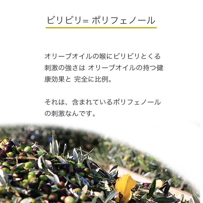 カロリ エキストラバージン オリーブオイル モンティ デル ドゥーカ 500ml x 6本