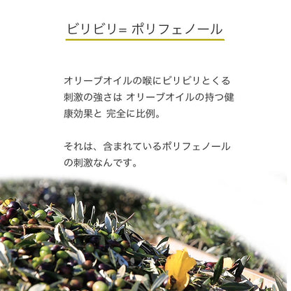 カロリ エキストラバージン オリーブオイル モンティ デル ドゥーカ 500ml x 6本